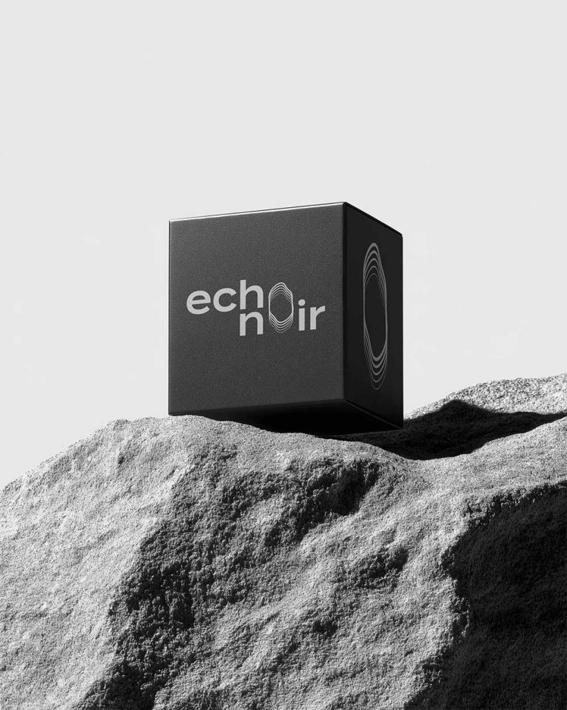 Design du logo Echo Noir